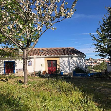 Ola Linda - Casa De Campo - 维迪堡 外观 照片