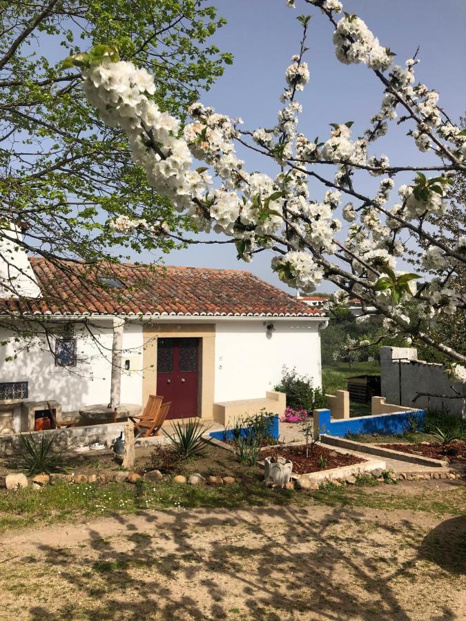 Ola Linda - Casa De Campo - 维迪堡 外观 照片